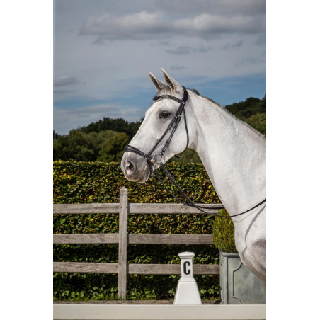 Briglia Capezzina Tedesca New English Collection by Dy'on