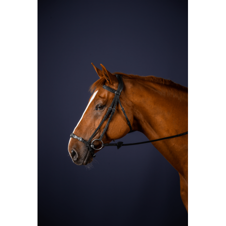 Capezzina Tedesca Regolabile New English Collection by Dy'on