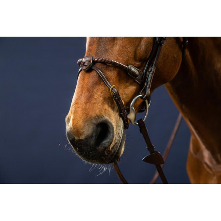 Briglia Capezzina Corda Rivestita in Pelle D Collection by Dy'on