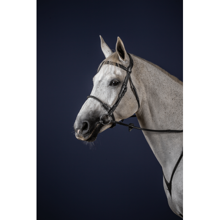 Redine Capezzina Corda Rivestita in Pelle New English Collection by Dy'on