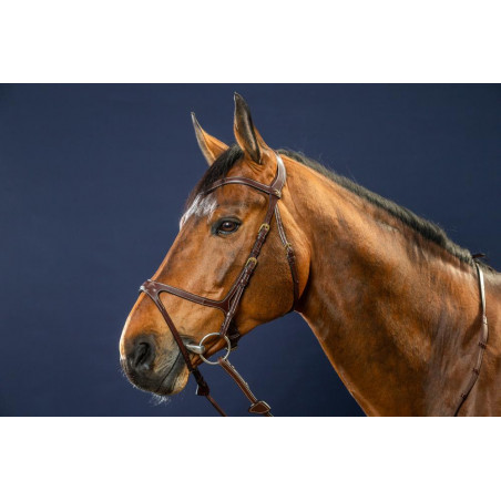 Briglia X-Fit D Collection by Dy'on