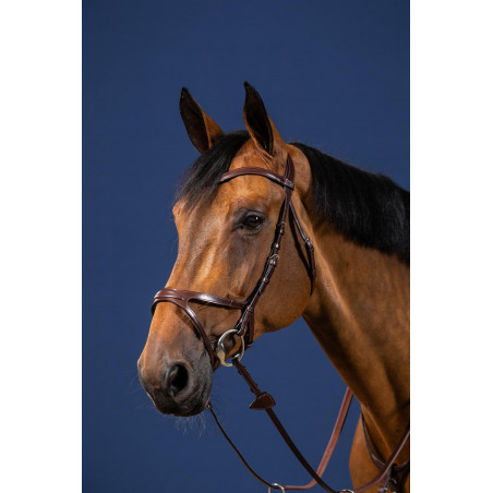 Briglia X-Fit New English Collection by Dy'on