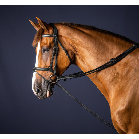 Redini tedesche in cuoio/nylon 5/8 New English Collection by Dy'on