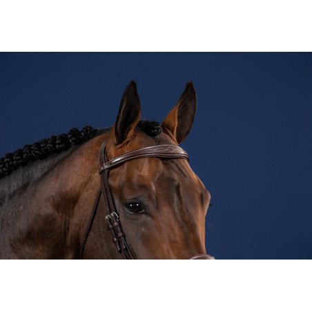 Frontale Dritto Anatomico US Collection by Dy'on