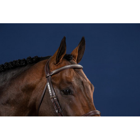 Frontal Dritto Clincher Argentato US Collection by Dy'on