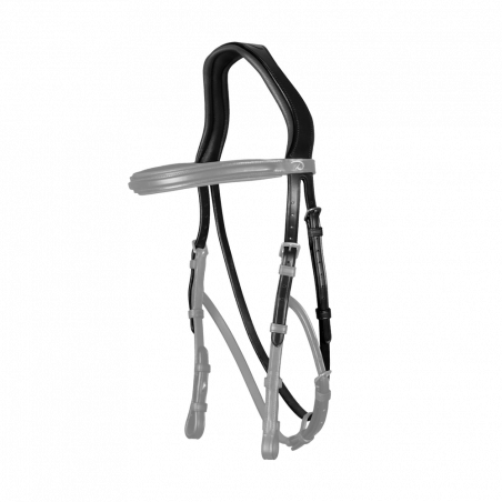 Testiera Hackamore New English Collection by Dy'on