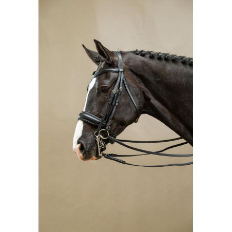 Briglia con Capezzina Francese Larga Mat Working By Dy'on