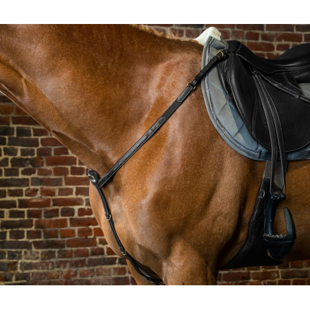 Pettorale D Collection by Dy'on