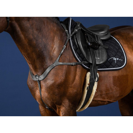 Pettorale Anatomico US Collection by Dy'on