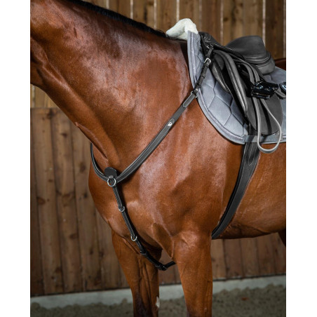 Pettorale Working By Dy'on