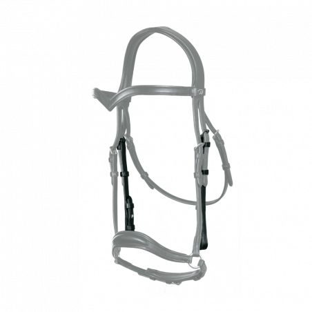 Importi dei morsi Dy'on