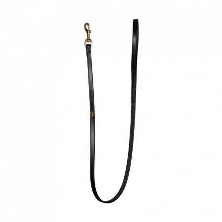 Guinzaglio Classico per Cane Dy'on