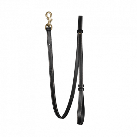 Guinzaglio Regolabile per Cane Dy'on