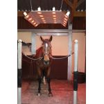 Solarium S20L EVOlution