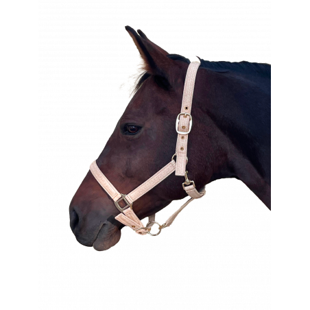 Capezzina Canter Malibu