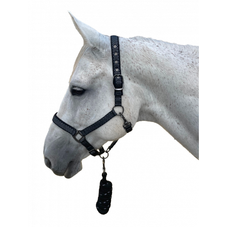 Set capezza + corda Sonoma Canter