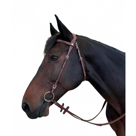 Briglia Flags & Taça Freedom