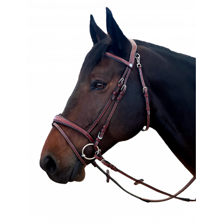 Briglia Flags & Cup New York