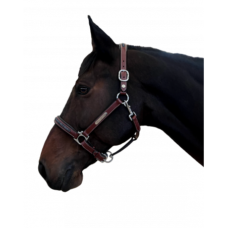 Capezzina Aachen Flags & Cup