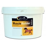 Costruttore Muscolare Horse Master