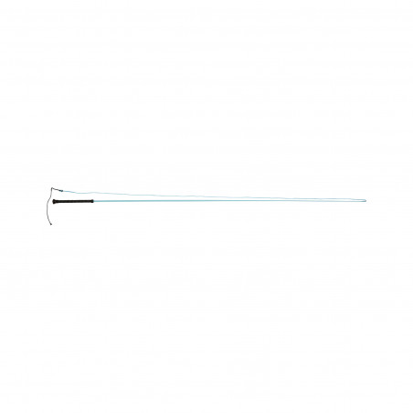 Chambrière Dublin Brights