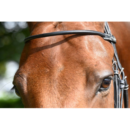 Frontale Monday Jump'In