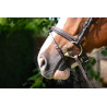 Noseband Jump'in - Avana