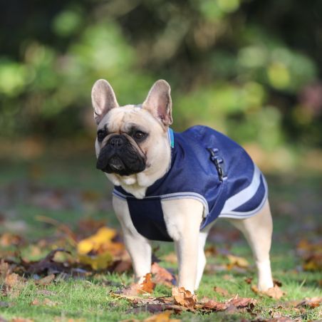 Coperta per cane Bucas Freedom 150g