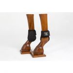 Paranocche Back On Track