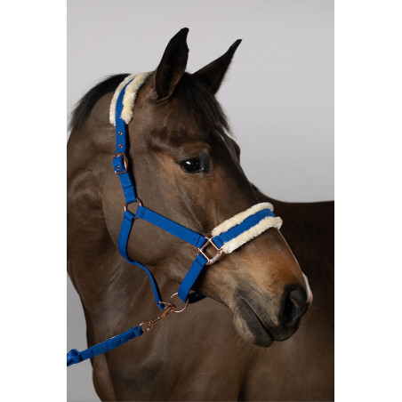 Capestro e Lunghina Harcour Holly