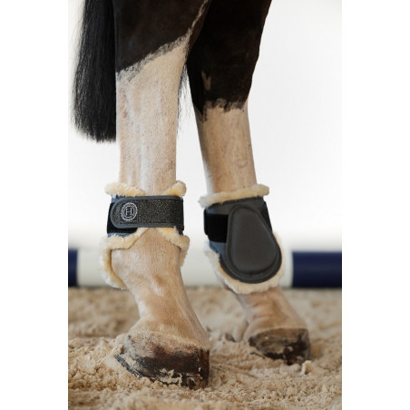 Paratendini posteriori Harcour Totseen