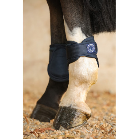 Paratendini posteriori in rete Harcour Toxic