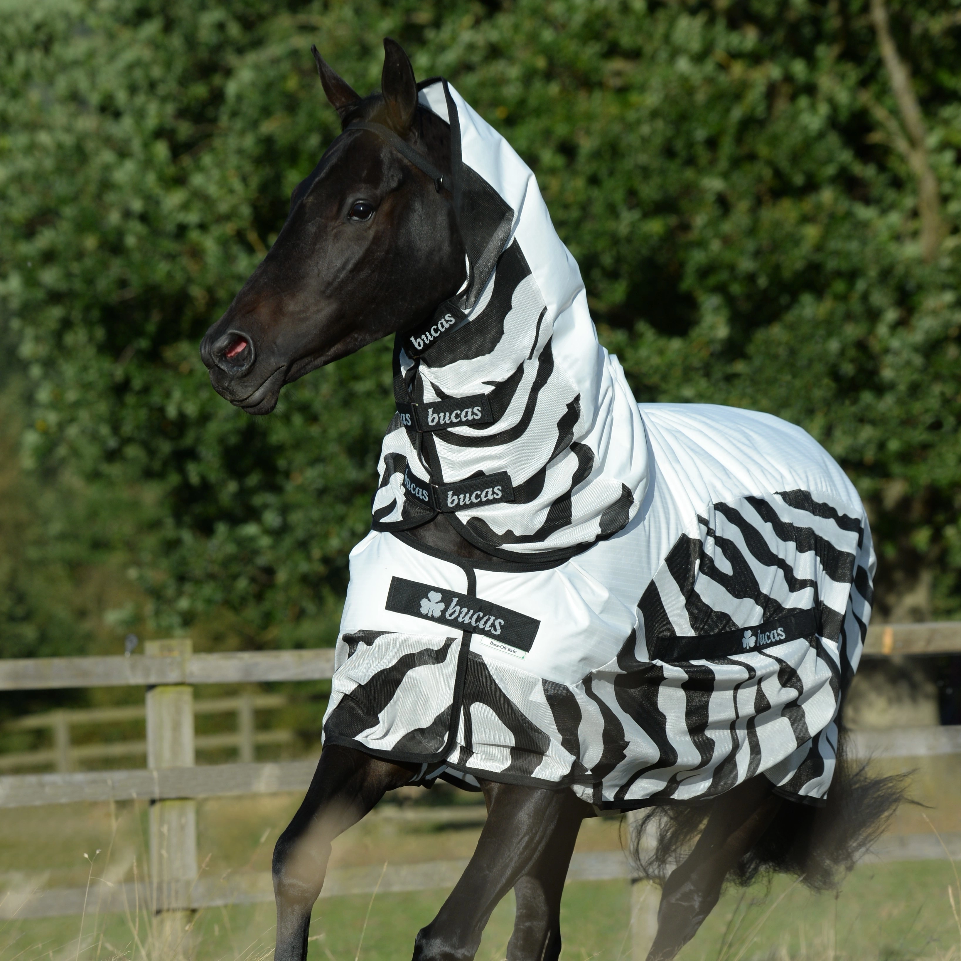 Coperta antimosche Bucas Buzz-Off Rain Zebra con copricollo Coperta antimosche Bucas Buzz-Off Rain Zebra con copricollo