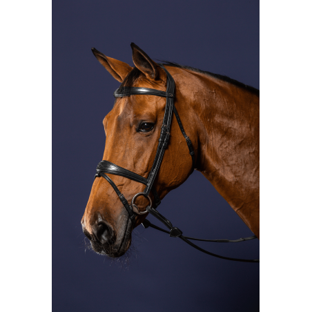 Briglia Capezzina Combinata Anatomica Dy'on Collezione New English