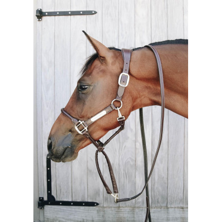 Lunga e catena di presentazione in cuoio Kentucky