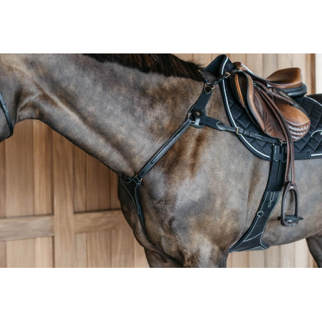 Pettorale a 5 punti con elastici D Collection Dy'on