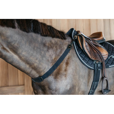 Pettorale elastico D Collection Dy'on