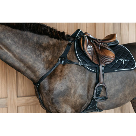 Pettorale a 5 punti con elastici New English Collection Dy'on