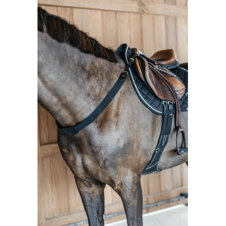 Pettorale elastico New English Collection Dy'on