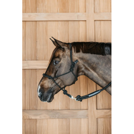 Capestro etologico Dy'on