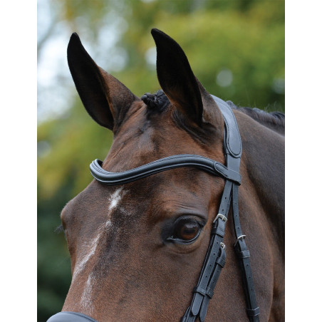 Briglia anatomica Collegiate ComFiTec Vogue