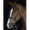 Briglia Collegiate con testiera Mono Crown - Nero