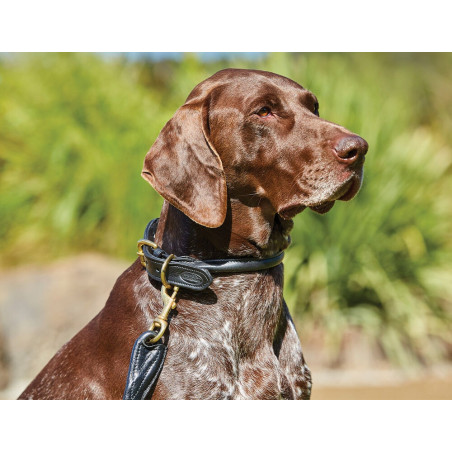 Collare per cane Weatherbeeta in cuoio rotondo