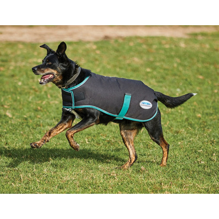 Coperta per cane 220g Weatherbeeta Green-Tec 900D