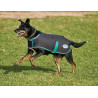 Coperta per cane 220g Weatherbeeta Green-Tec 900D - Nero / verde bottiglia