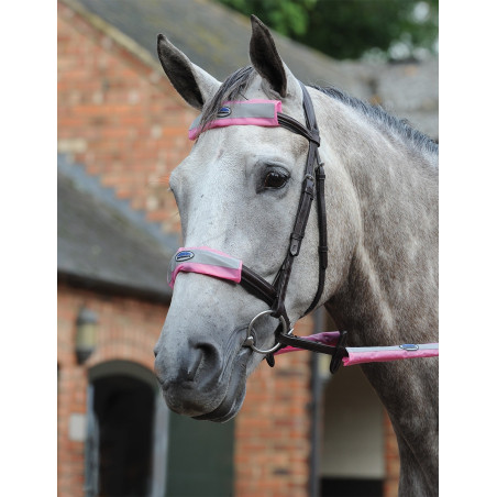 Kit 4 pezzi riflettente per testiera Weatherbeeta