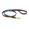 Guinzaglio per cane Weatherbeeta in cuoio Polo - Marrone cowdray / blu / blu