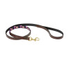 Guinzaglio per cane Weatherbeeta in cuoio Polo - Marrone cowdray / viola / viola