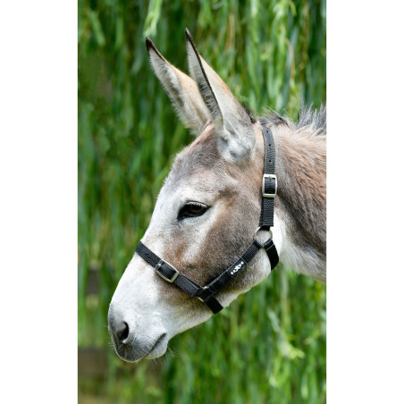 Capestro Saxon economico