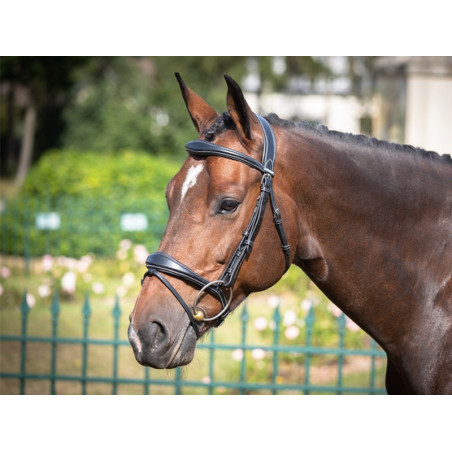 Bridon Bruxelles Jump'In One